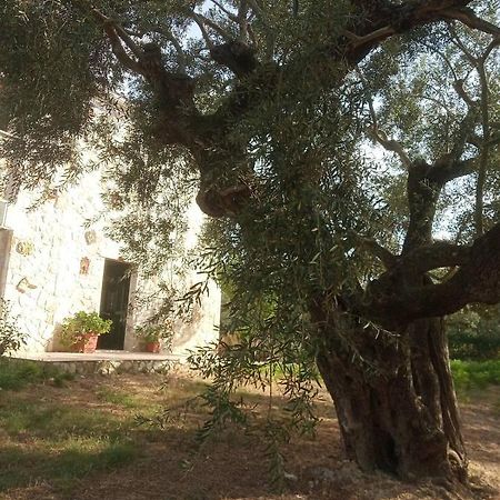 فيلا Olive Trees تراغاكي المظهر الخارجي الصورة