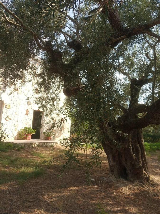 فيلا Olive Trees تراغاكي المظهر الخارجي الصورة