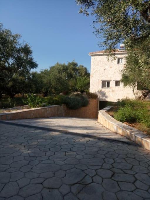 فيلا Olive Trees تراغاكي المظهر الخارجي الصورة